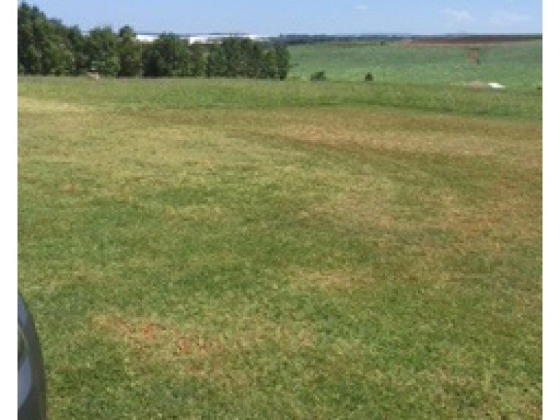 Lot 101, 9 Elizabeth Street, Childers QLD 4660