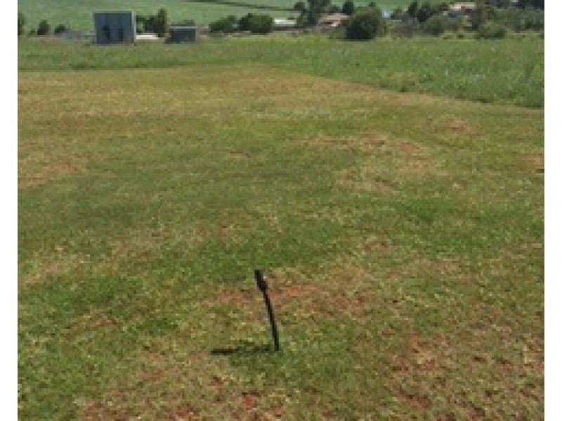 Lot 101, 9 Elizabeth Street, Childers QLD 4660