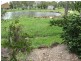 Innes Park QLD 4670