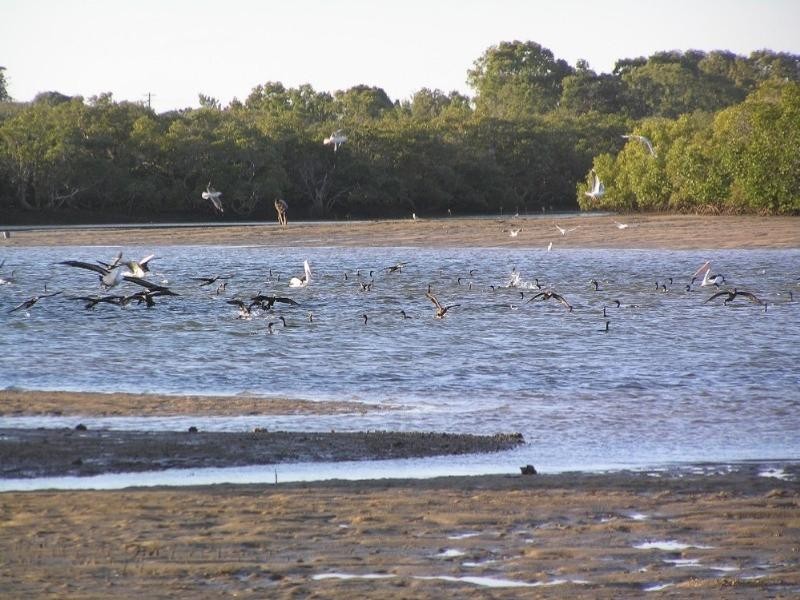 Elliott Heads QLD 4670