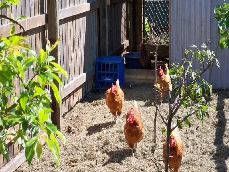 Burnett Heads QLD 4670