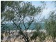 Innes Park QLD 4670