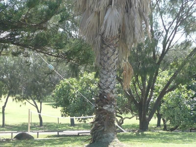 Innes Park QLD 4670