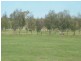 Coral Cove QLD 4670