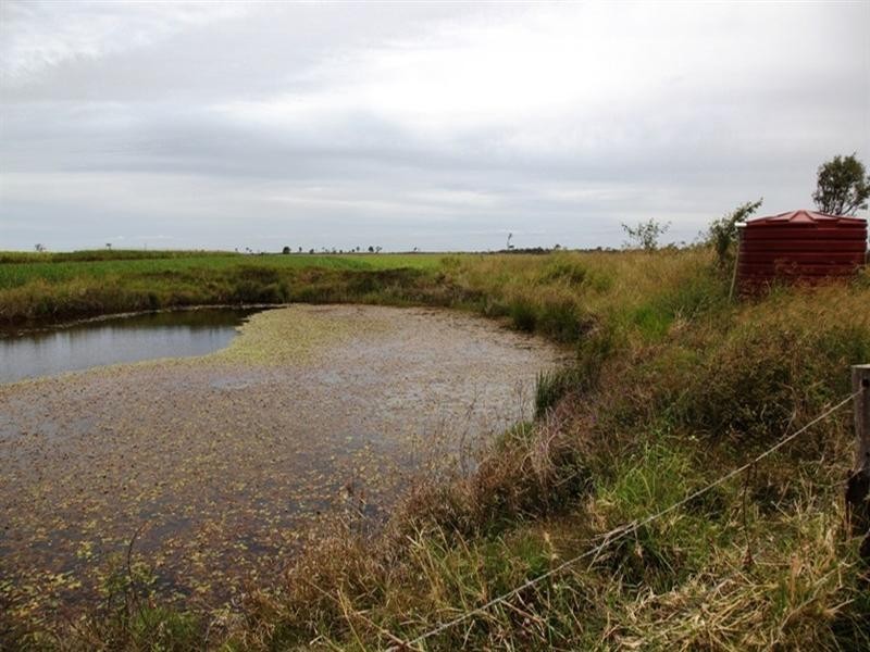 Bundaberg South QLD 4670