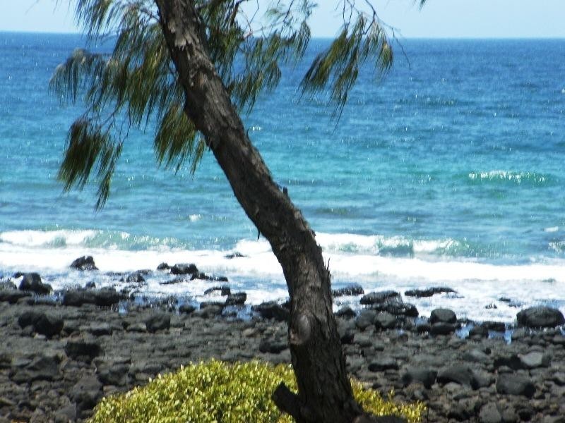 Innes Park QLD 4670