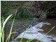 Duingal QLD 4671