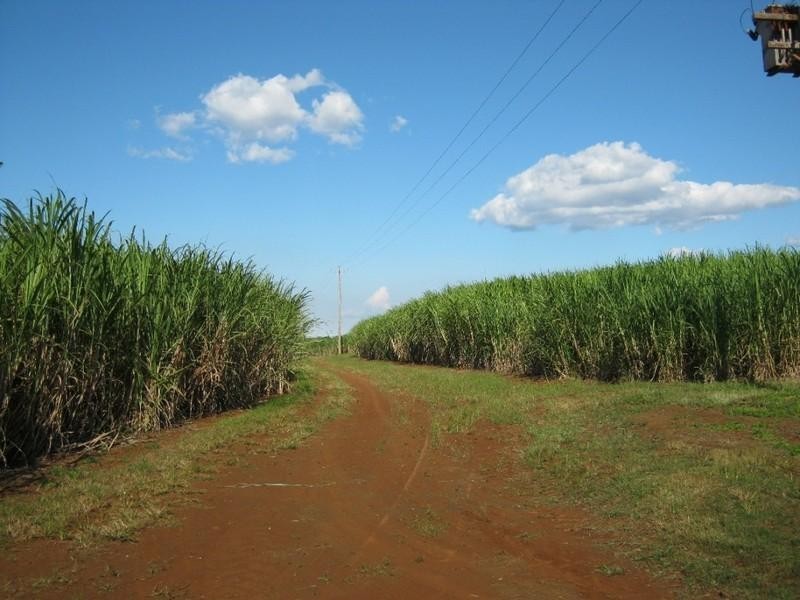 Qunaba QLD 4670