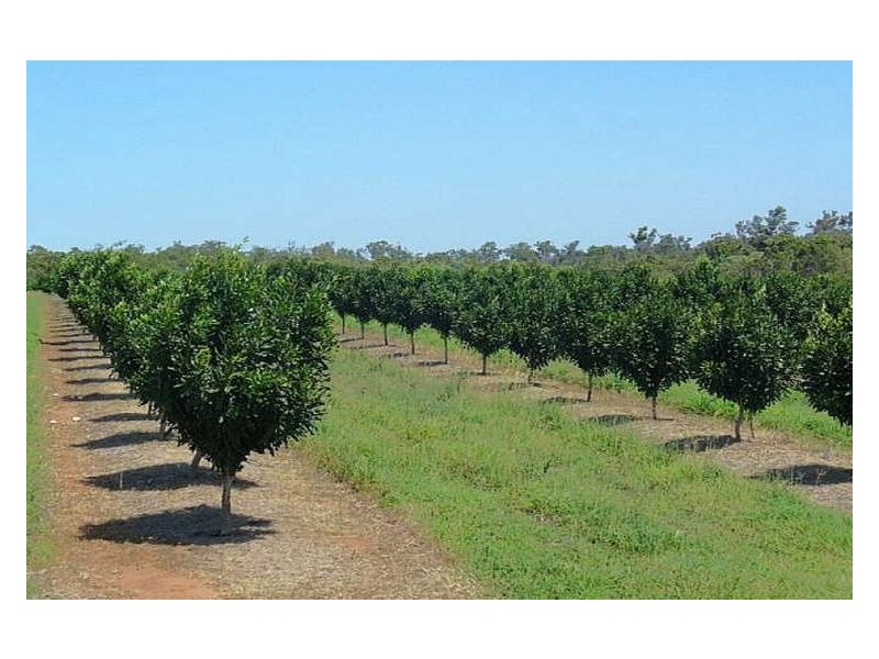 South Kolan QLD 4670