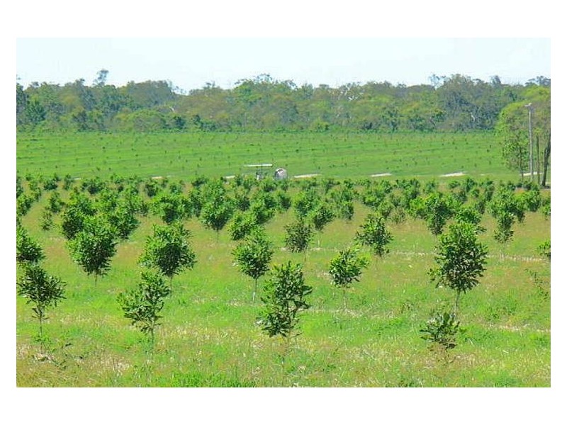 South Kolan QLD 4670