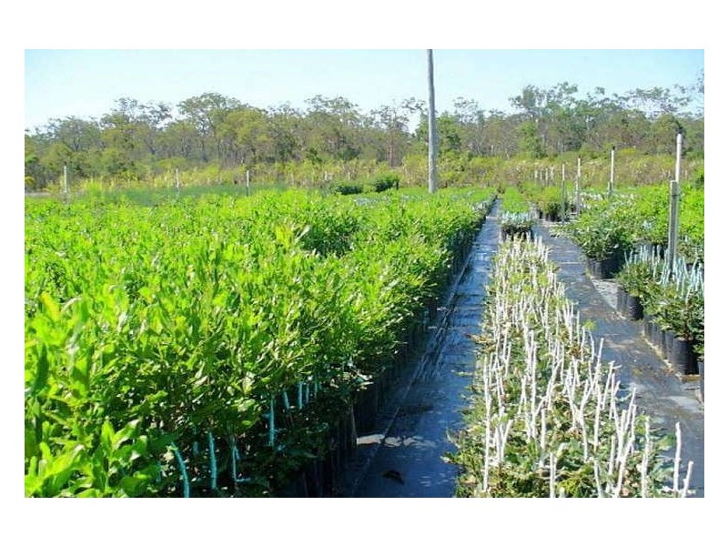 South Kolan QLD 4670