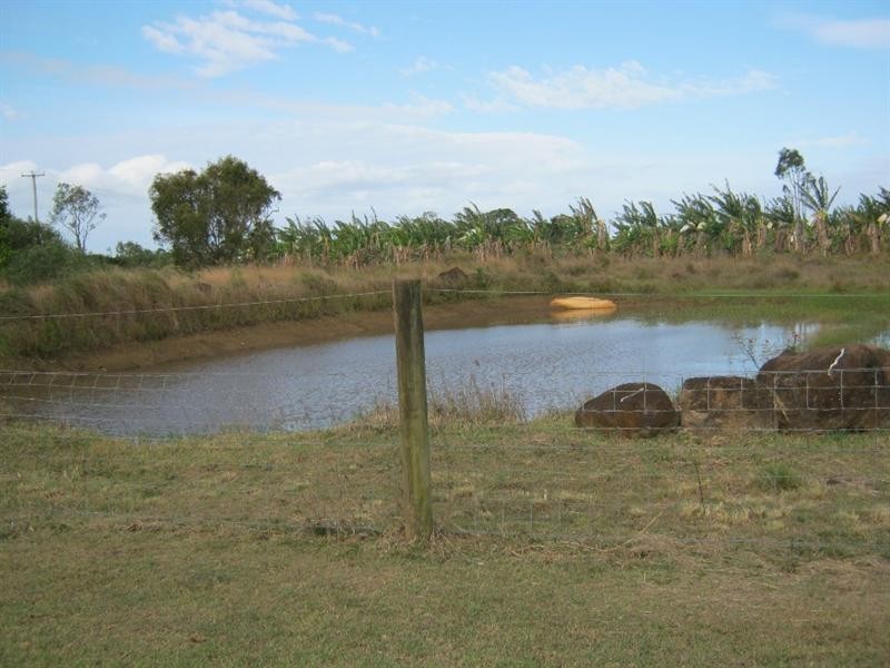 71 Back Springfield Road, Woongarra QLD 4670