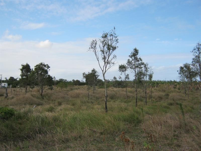 71 Back Springfield Road, Woongarra QLD 4670