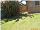 Bargara QLD 4670
