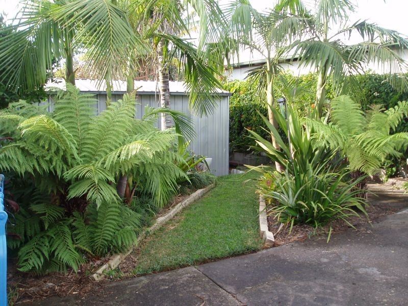 41 Veronica Street, Warilla NSW 2528