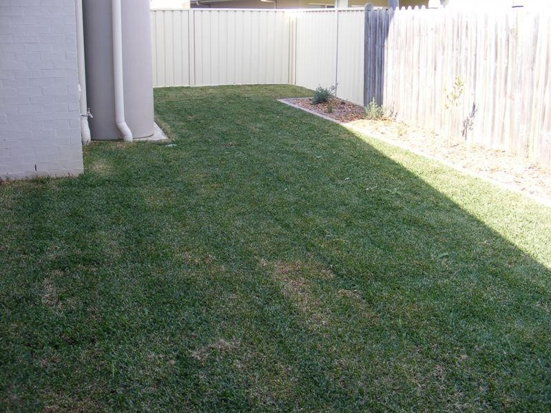 Home 3 Munmorah Circuit, Flinders NSW 2529