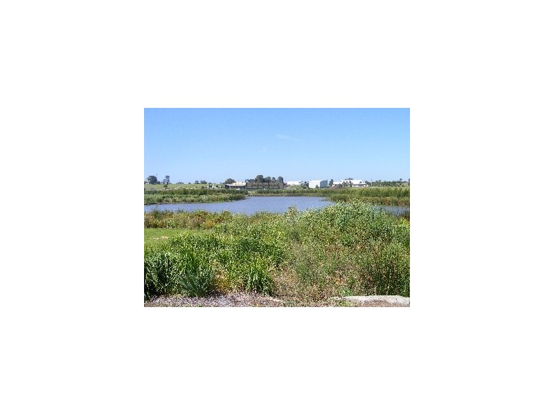 43 Ocean Beach Drive, Shellharbour NSW 2529