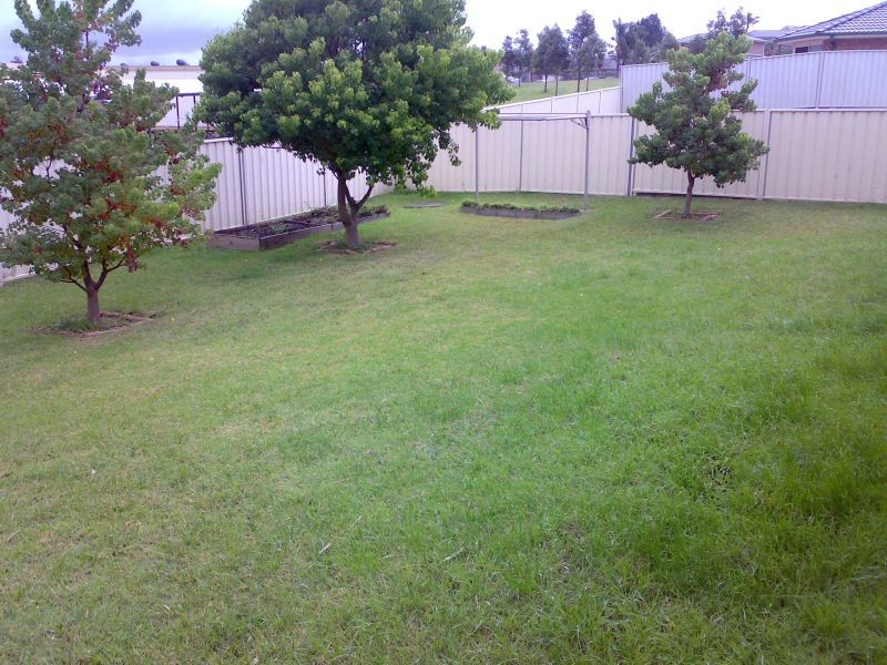12 Mummuga Close, Flinders NSW 2529