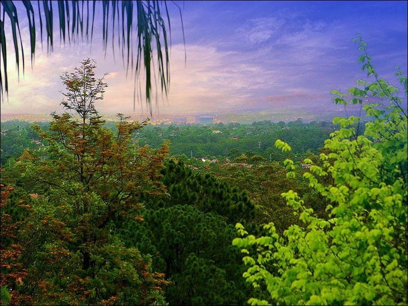 21 Castle Hill Road, West Pennant Hills NSW 2125