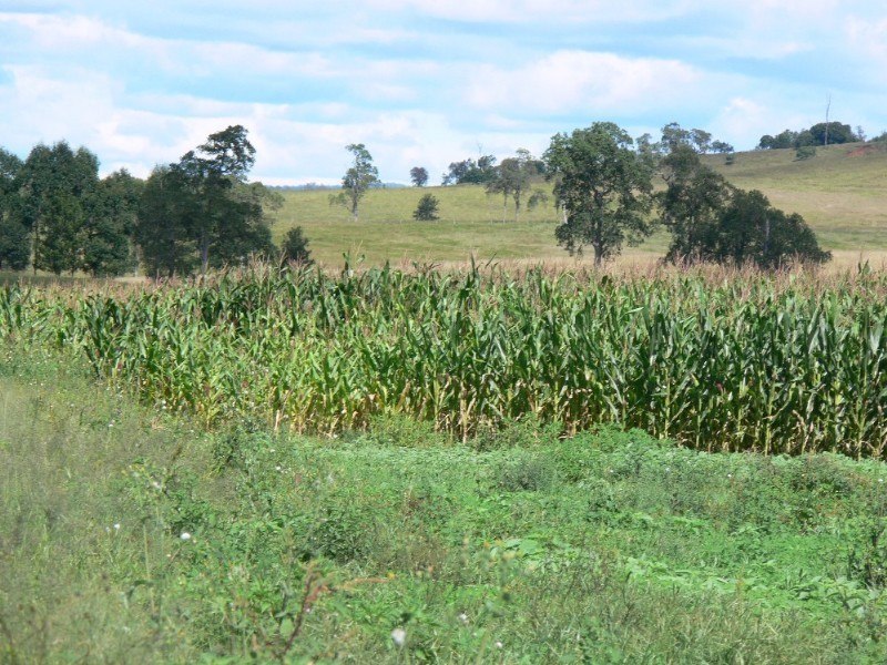 Kyogle NSW 2474