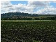Kyogle NSW 2474