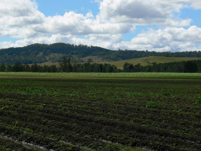 Kyogle NSW 2474