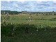 Kyogle NSW 2474