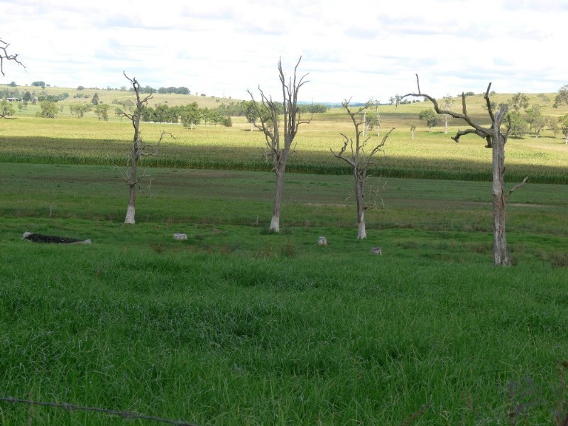 Kyogle NSW 2474