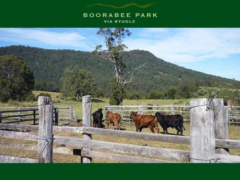 Boorabee Park NSW 2480
