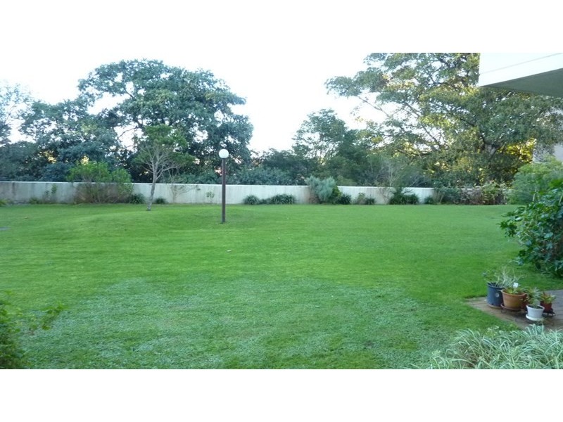 8/244 Alison Road, Randwick NSW 2031