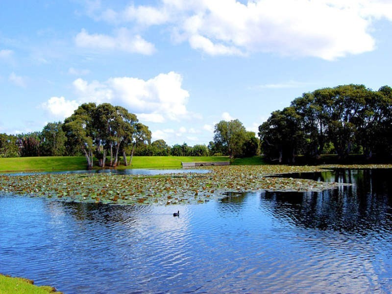 5/191 Anzac Parade, Kensington NSW 2033