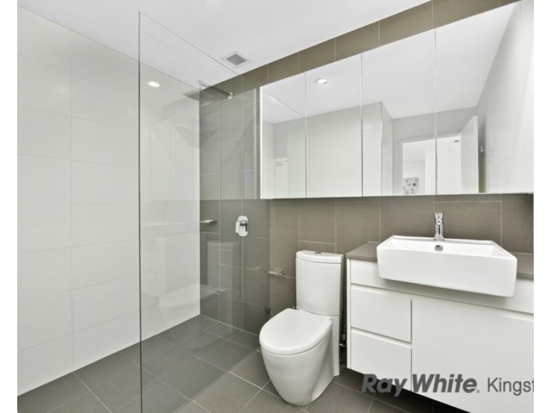 205/828 Elizabeth Street, Waterloo NSW 2017