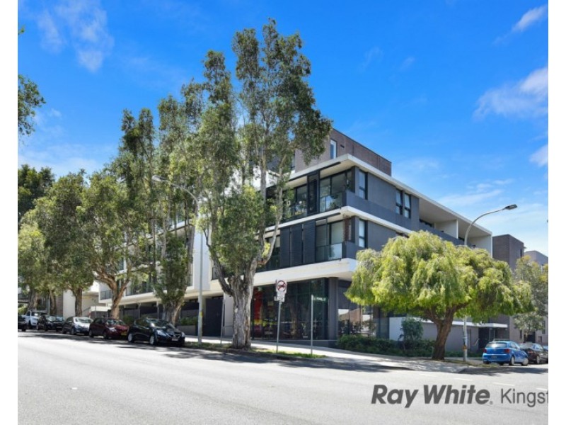 205/828 Elizabeth Street, Waterloo NSW 2017