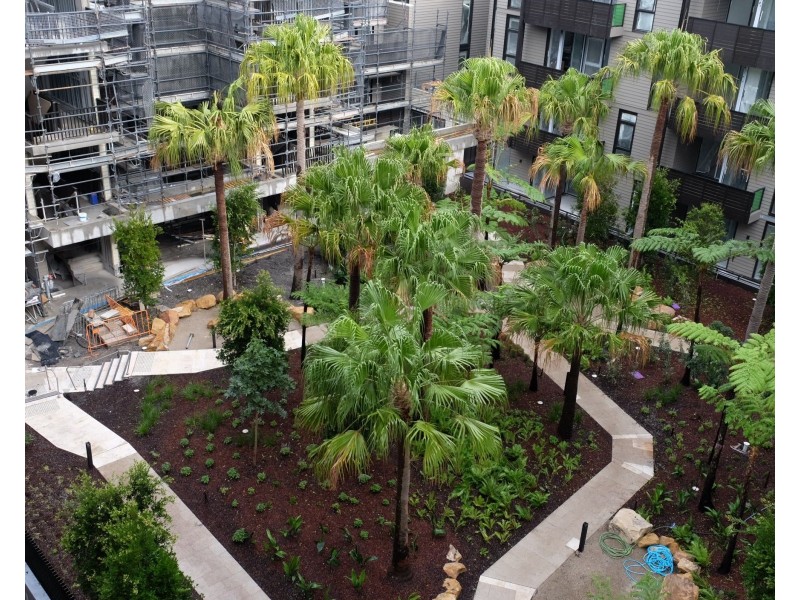 2606/17 Lachlan Street, Waterloo NSW 2017