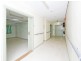 179 Elizabeth Street, Ashfield NSW 2131