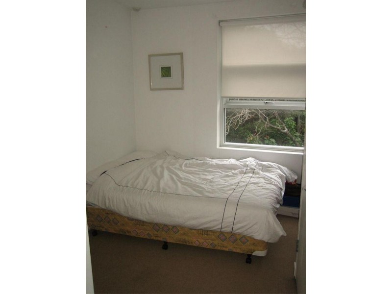 2/393 Liverpool Street, Darlinghurst NSW 2010