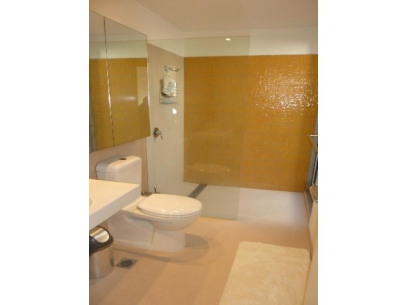 19 Gadigal Avenue, Zetland NSW 2017