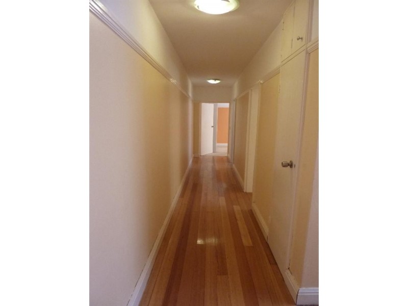 2/17 The Avenue, Randwick NSW 2031