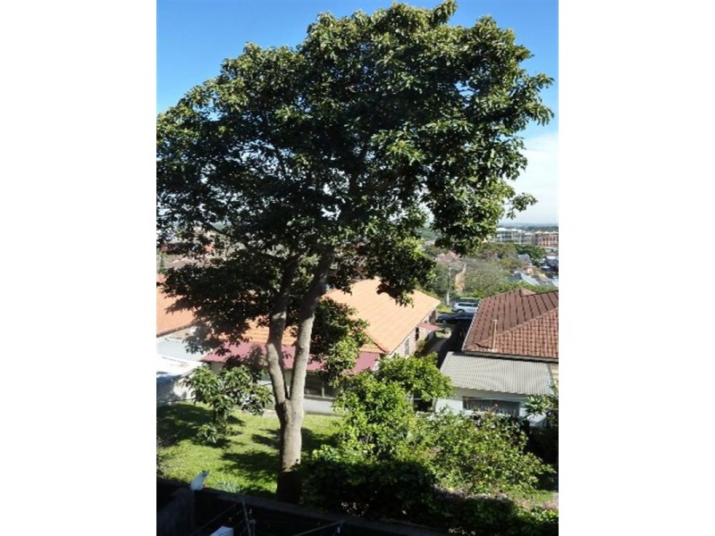 2 Kennedy Lane, Kingsford NSW 2032