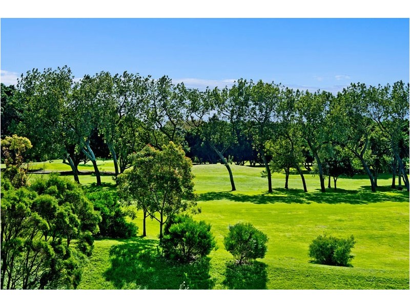 403/7 Black Lion Place, Kensington NSW 2033
