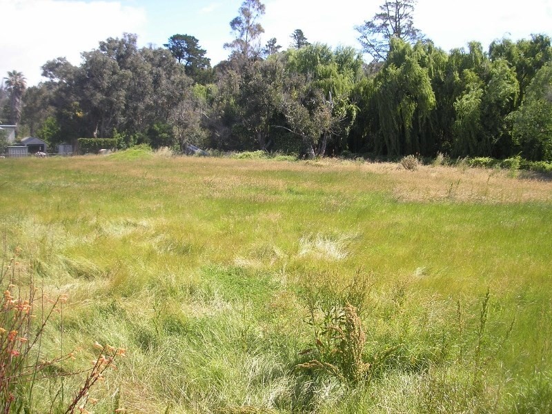 38 Roberts Street, Balingup WA 6253