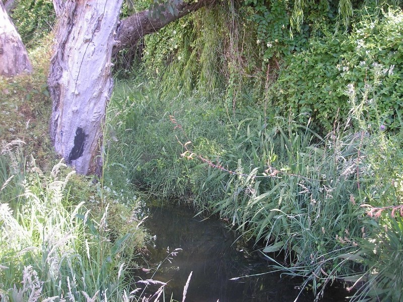 38 Roberts Street, Balingup WA 6253