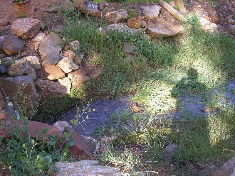 Lot 115 Lukis Street, Balingup WA 6253