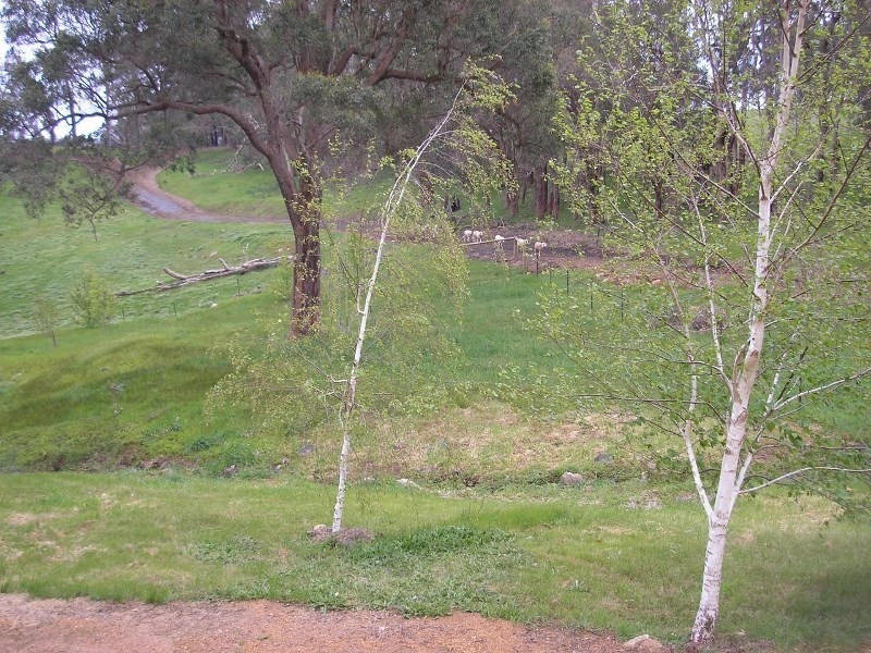 Lot 115 Lukis Street, Balingup WA 6253