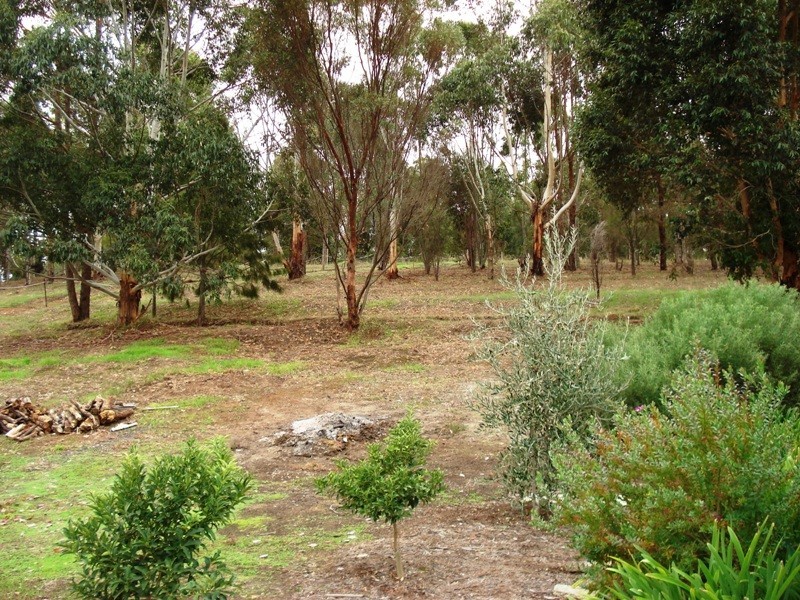 29 Nickajack Place, Bridgetown WA 6255