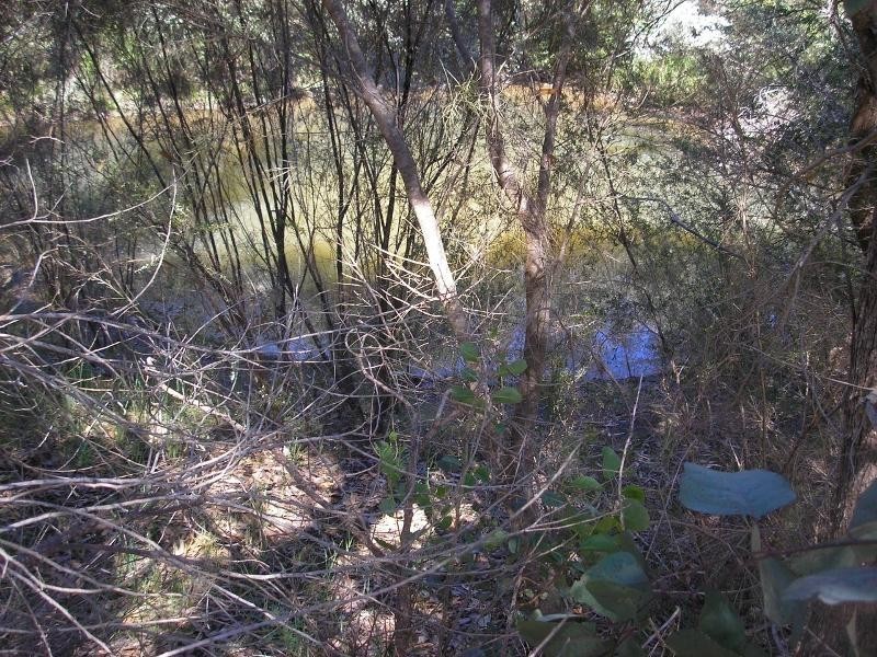 98 GRIMWADE Road, North Greenbushes WA 6254