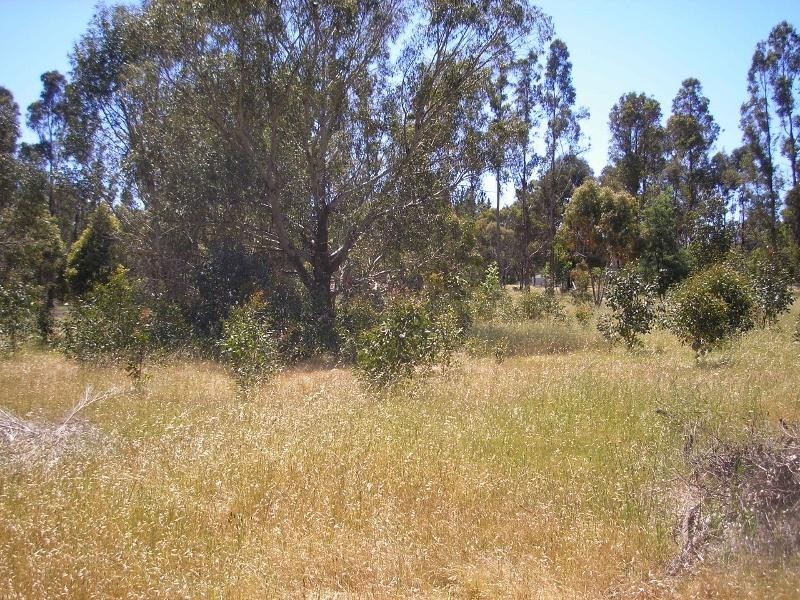 98 GRIMWADE Road, North Greenbushes WA 6254