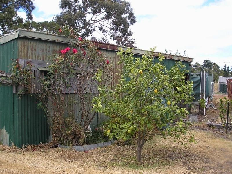 43 Telluride Street, Greenbushes WA 6254