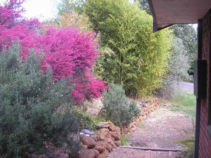 8 Brockman Street, Balingup WA 6253