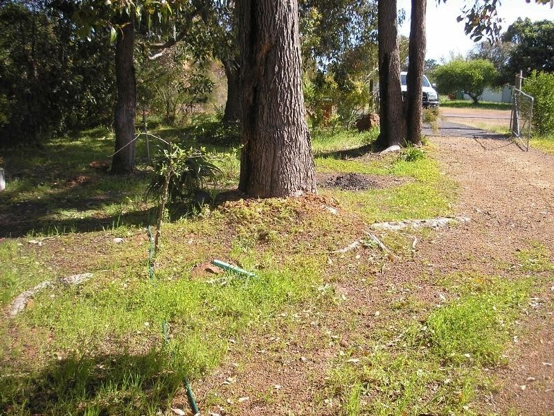 36 Telluride Street, Greenbushes WA 6254